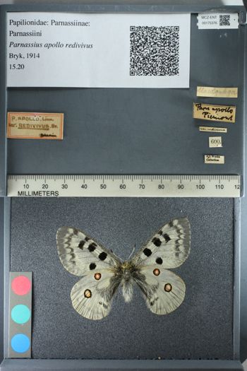 Media type: image;   Entomology 175376